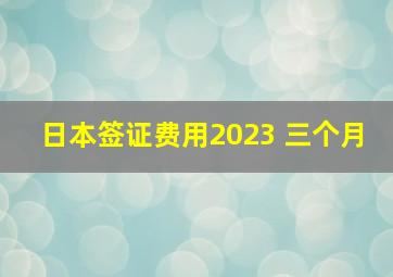 日本签证费用2023 三个月